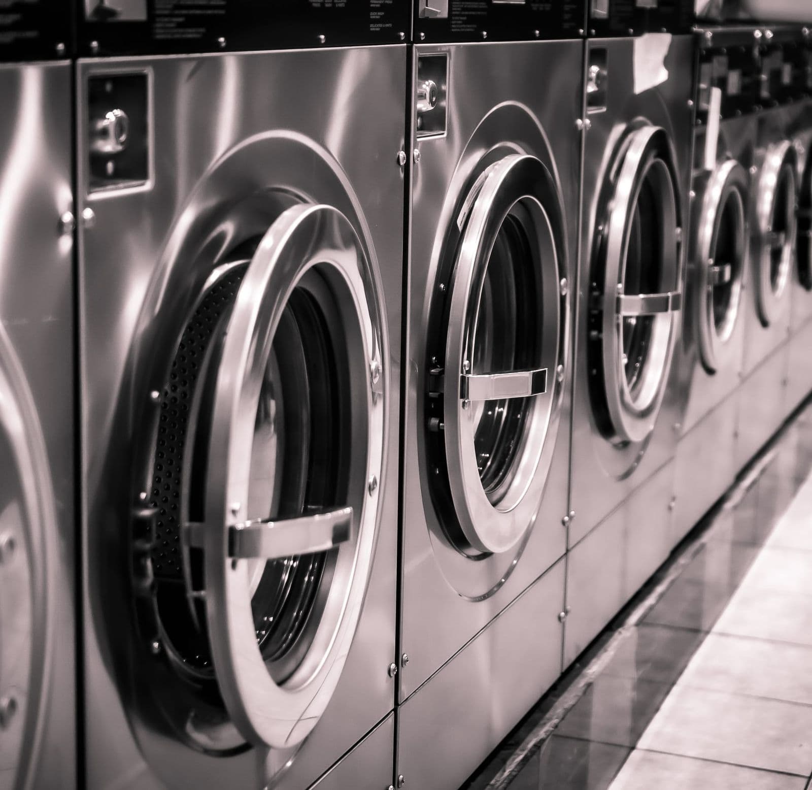 A row of commercial front-load washers